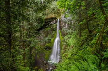 Fotobehang Blurred waterfall in a lush subtropical forest. Near Portland, USA © mantinilt