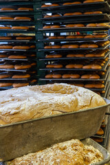 Lebkuchenteig in einer Bäckerei