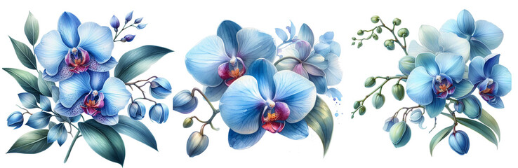 Watercolor hand-drawn blue flower of orchid.