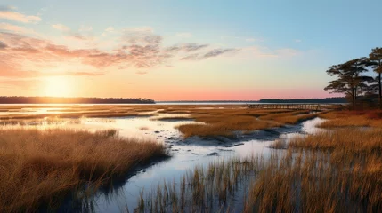 Foto op Plexiglas estuary salt marsh landscape illustration coastal tidal, flora ecosystem, habitat brackish estuary salt marsh landscape © vectorwin