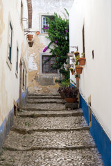 Fototapeta na wymiar Typical cobbled Portuguese street in Obidos with white, yellow and blue walls.