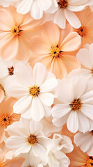 A close up of a bunch of white flowers. Monochrome peach fuzz background.