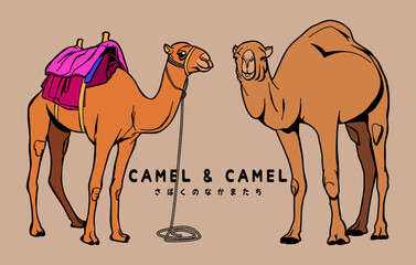 Desert Companions Camel Vector Line Art Perfect for desert-themed designs, travel illustrations, adventure books, adventure apparel, etc