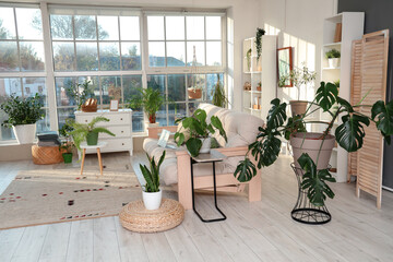 Interior of light living room with green plants and sofa