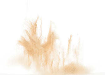 Small Fine size Sand flying explosion, Golden grain wave explode. Abstract cloud fly. Yellow colored sand splash throwing in Air. White background Isolated high speed shutter, throwing freeze stop