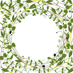 Microgreen frame (peas, onion, cress, cabbage, sunflower, corn, carrot, beet). Useful eco-product. Flat design. Healthy green seedlings. Multicolored hand drawn vector illustration for cards, business