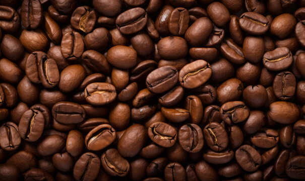 coffee pouder and beans, top view
