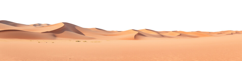 panorama of the desert, cut out - stock png. - obrazy, fototapety, plakaty