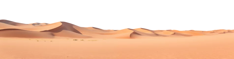 Fotobehang panorama of the desert, cut out - stock png. © Volodymyr