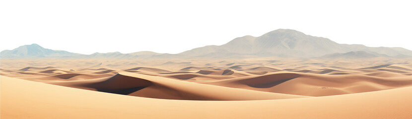 Fototapeta na wymiar panorama of the desert, cut out - stock png.
