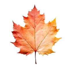 Maple Autumn Leaf  isolated on transparent background Generative AI