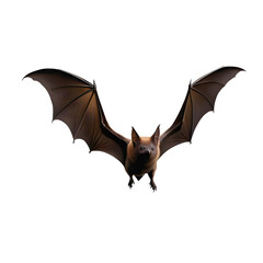 Flying bat isolated on transparent or white background