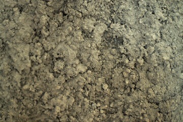 Roughcast surface. Grunge wall texture as background.