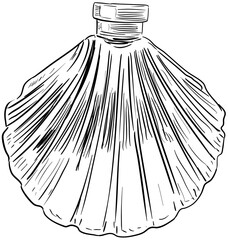 perfume handdrawn illustration