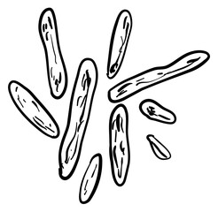 bacteria virus handdrawn illustration