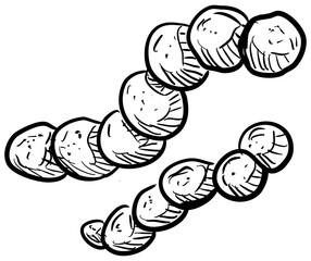 bacteria virus handdrawn illustration