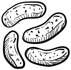 bacteria virus handdrawn illustration