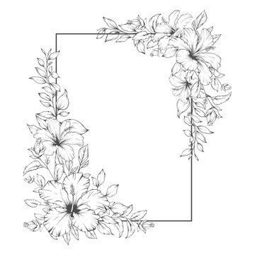 hibiscus flowers frame black and white clip art preview
