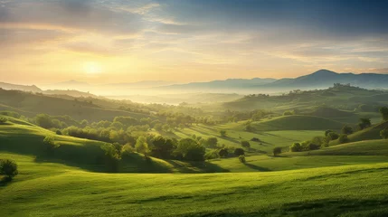 Foto op Plexiglas view knoll hills landscape illustration outdoors beauty, greenery meadow, valley mountain view knoll hills landscape © vectorwin