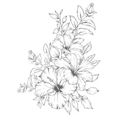 Hand drawn floral outline hibiscus flowers and leaves bouquet