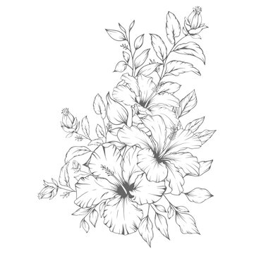Hand drawn floral outline hibiscus flowers and leaves bouquet