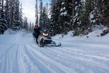 Fototapeta na wymiar Snowmobile rider in the back country in the mountains of Montana, USA