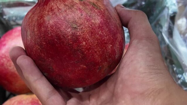 Delima (Pomegranate) 