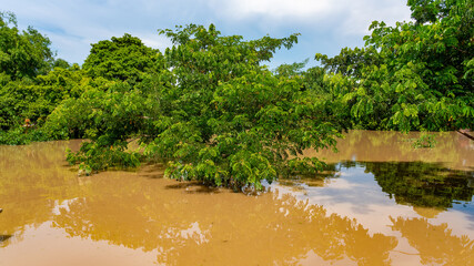 Floods in Thailand 