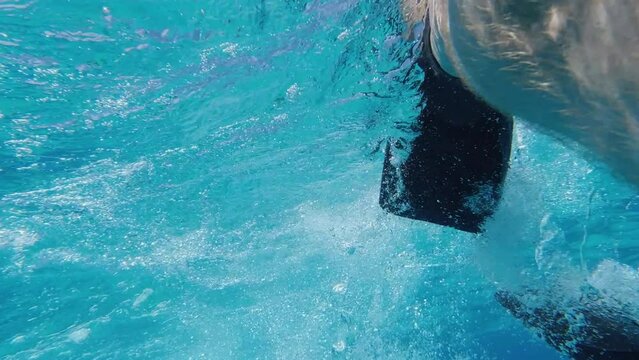 Close up: Hairy male legs swim in clear water with snorkel flippers