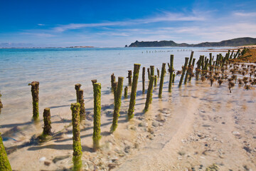 Fototapeta premium Portrait of Nambung beach with seaweed cultivation using pieces of Indonesian Lombok wood