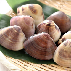 竹ざるの上のはまぐり