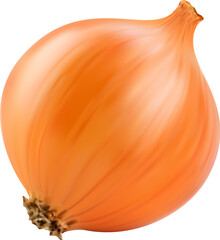 Realistic raw whole onion vegetable. Isolated 3d vector versatile veggie with layers of pungent, crisp flesh. Healthy food, bulb, used in various cuisines, it adds flavor, texture, and depth to dishes - obrazy, fototapety, plakaty