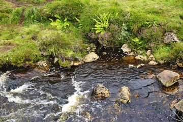 Fast flowing stream with grassy wetlands and whitewater current outdoor nature landscape