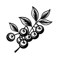 "Chic and Minimalistic Cranberry Pictogram Vector, Perfectly Designed to Showcase the Unique Appeal and Freshness of this Delightful Berry."