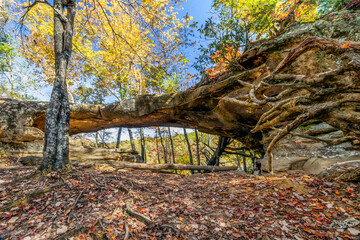Princess Arch, surrounded by fall color, is one of many natural rock formations found in Red River Gorge National Geological Area, a popular attraction for tourism and hiking in eastern Kentucky. - 692833981
