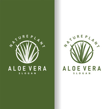 Aloe Vera Logo Design Simple Illustration Health Herbal Plant Grass