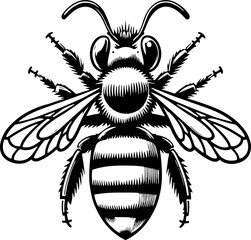 Pantaloon Bee icon