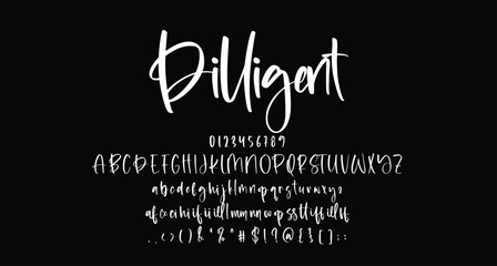 Dilligent beauty script handwritten font Best Alphabet Alphabet Brush Script Logotype Font lettering handwritten