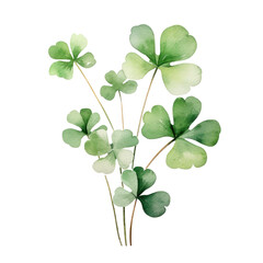 green clovers watercolor art illustration isolated on transparent background,transparency 