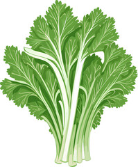 celery isolated icon