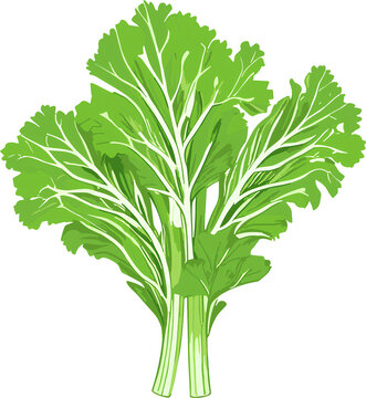 celery isolated icon