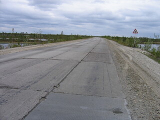 road made of concrete slabs through a swamp