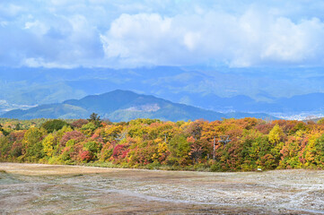 Beautiful Autumn Trees on Mount Zao in Yamagata Prefecture