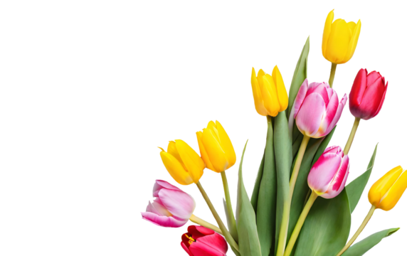 Bouquet of tulips (transparent background) png with alpha channel. Spring image. Valentine's Day, Easter, Birthday, Happy Women's Day, Mother's Day, Birthday, Celebration, etc. - Powered by Adobe