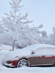 Car frozen under snow
