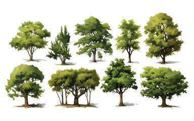 Collection of watercolors trees, vector, eps,