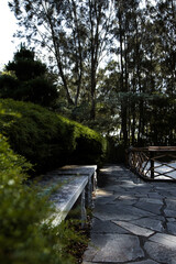 Bench in Japanese Garden