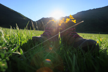 Hiking boots with yellow wild flowers in high altitude grassland