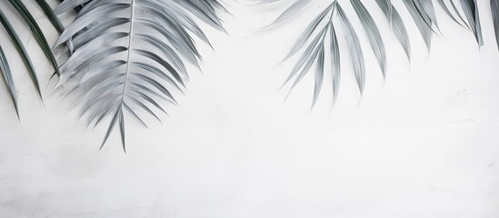 White gray grunge cement texture wall leaf plant shadow