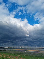 Obraz premium This is a beach in Jeju Island full of seaweed.